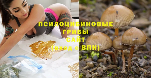 марки lsd Дмитриев