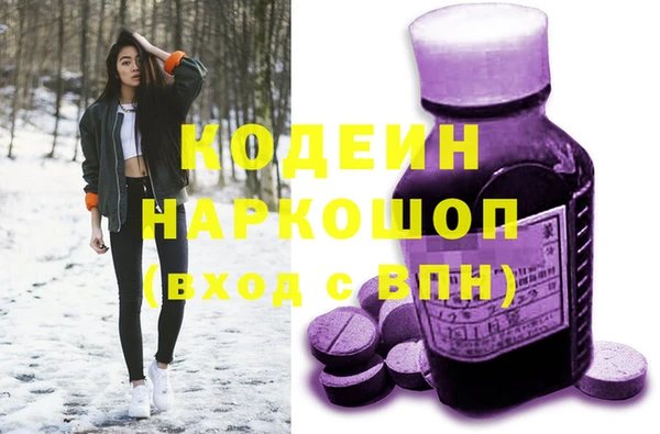 МДПВ Гусев