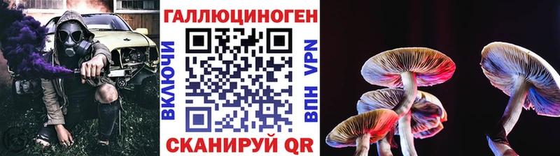 блэк спрут онион  Михайлов  Псилоцибиновые грибы мицелий  цена  